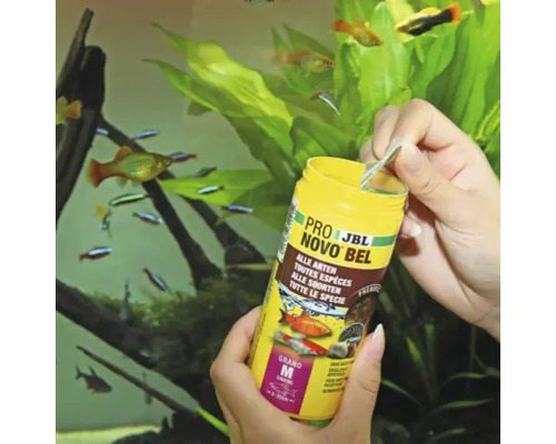 Recipient cu hrană pentru pești JBL NovoBel în fața acvariului