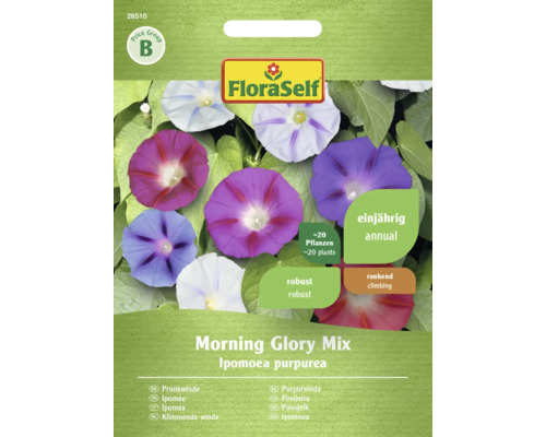 Semințe flori FloraSelf zorele Morning Glory amestec | HORNBACH