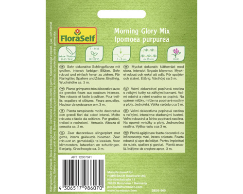 Pachet de semințe pentru Morning Glory Mix Ipomoea purpurea, o plantă cățărătoare decorativă