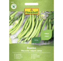 Semințe de fasole pitică FloraSelf Domino