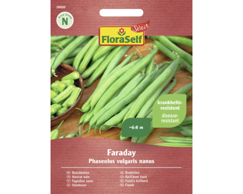 Semințe legume FloraSelf Select fasole Faraday