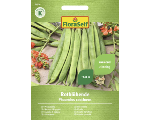 Semințe legume FloraSelf fasole Rotbluhende