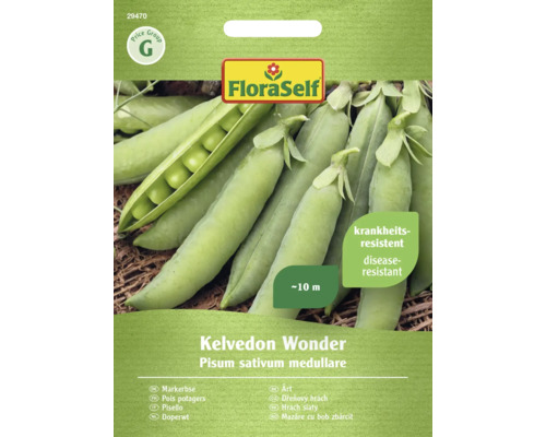 Semințe legume FloraSelf mazăre Kelvedon Wonder
