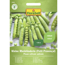 Pachet de semințe de mazăre FloraSelf Kleine Rheinländerin