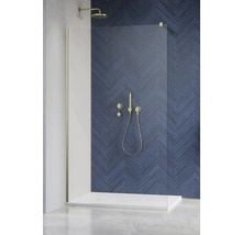 Cabină de duș cu cap de duș, duș de mână și robinet în fața modelului herringbone albastru