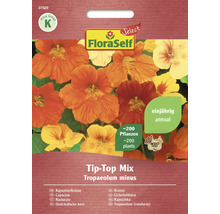 FloraSelf Tip-Top Mix Pachet de semințe de condurași pentru aproximativ 200 de plante