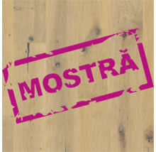 Parchet din lemn cu inscripția Eșantion