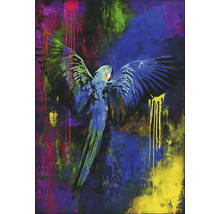 Tablou pictat manual Colourful Parrot 70x100 cm