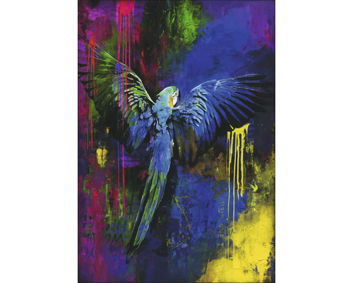Tablou pictat manual Colourful Parrot 70x100 cm