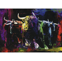Tablou pictat manual Colourful Bulls III 100x70 cm