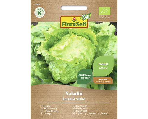 Bio Semințe salată Eisberg Saladin FloraSelf Bio | HORNBACH