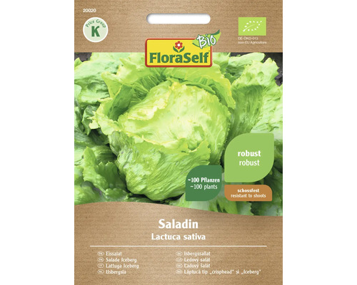 Bio Semințe salată Eisberg Saladin FloraSelf Bio