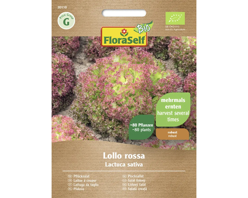 Bio Semințe salată Lollo Rossa FloraSelf Bio