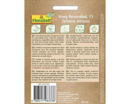 Pachet de semințe de spanac Reuzenblad, potrivit pentru cultivare în exterior