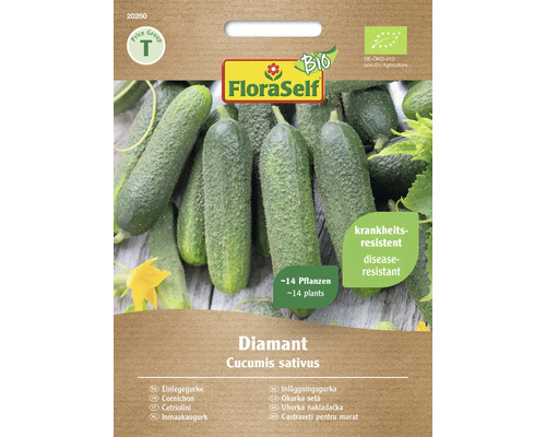 Bio Semințe legume FloraSelf Bio castraveți murături Diamant 1