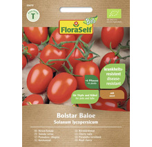 Semințe de roșii cherry FloraSelf Bolstar Baloe, rezistente la boli, potrivite pentru ghivece și cuve