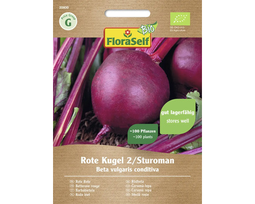 Bio Semințe legume FloraSelf Bio sfeclă roșie Kugel 2/ Sturoman
