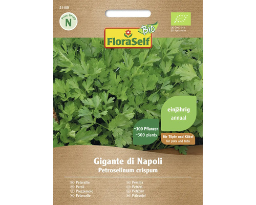 Bio Semințe de pătrunjel gigant de Napoli FloraSelf Bio