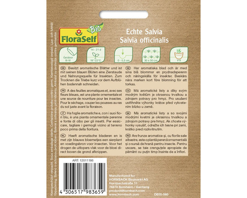 Echte Salvia Salvia officinalis informații despre plante