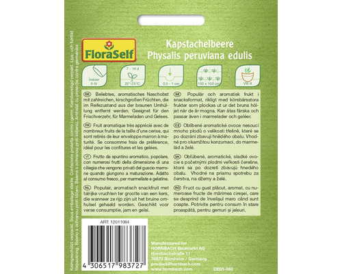 Pachet de semințe Physalis peruviana edulis