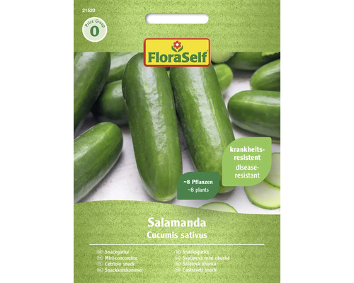 Semințe legume FloraSelf castraveciori Salamandra F1
