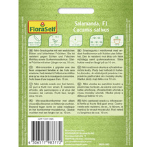 Pachet de semințe de castraveți Salamanda F1 de la FloraSelf cu informații despre cultivare și caracteristici