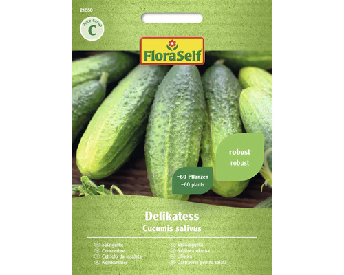 Semințe legume FloraSelf castraveți de salată Delikates