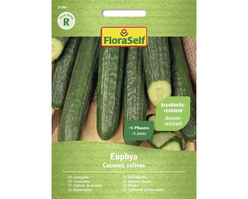 Semințe legume FloraSelf castraveți de salată Euphaya F1