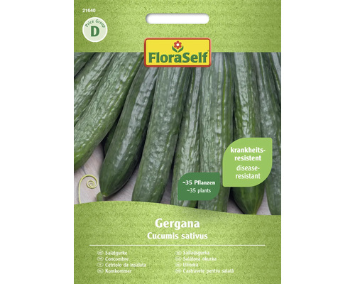 Semințe legume FloraSelf castraveți de salată Gergana