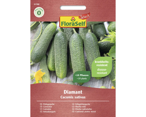 Semințe legume FloraSelf Select castraveți de murături | HORNBACH