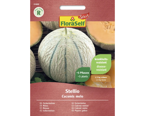 Semințe de pepene roșu Stellio F1 FloraSelf Select