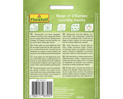 Pachet de semințe pentru dovleac uriaș Rouge vif d''Etampes