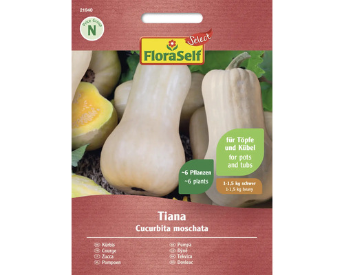 Semințe legume FloraSelf Select dovleac Tiana F1