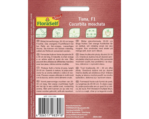 Pachet de semințe de dovleac Tiana F1, conține informații despre cultivare și proprietăți