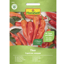 FloraSelf Thor Pachet de semințe de ardei lunguieț