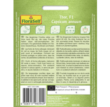 Ambalaj semințe Capsicum annuum