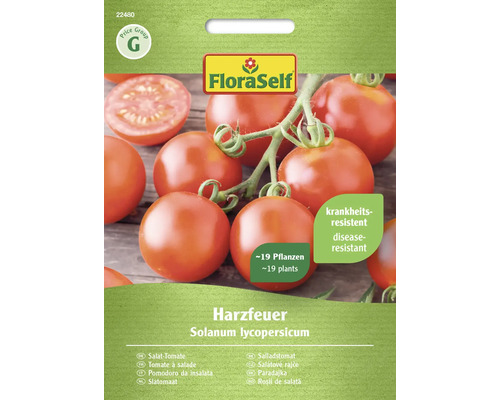 Semințe legume FloraSelf roșii de salată Harzfeuer F1