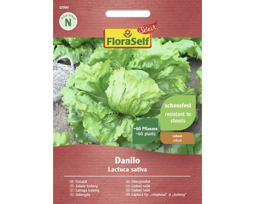 Semințe de salată Eisberg Danilo FloraSelf Select