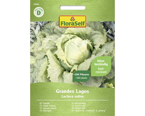 Semințe de salată Eisberg Grandes Lagos FloraSelf