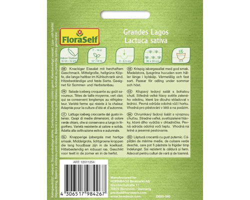 Salată iceberg Grandes Lagos Pachet de semințe