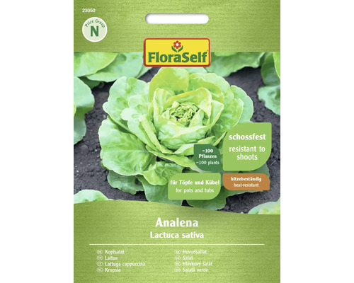 Semințe de salată verde Analena FloraSelf