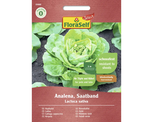 Semințe de salată verde Analena FloraSelf Select la bandă