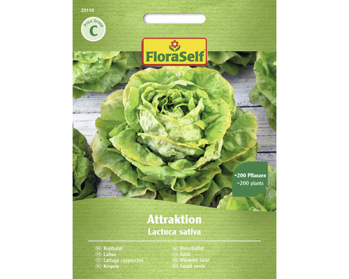 Semințe de salată verde Attraktion FloraSelf