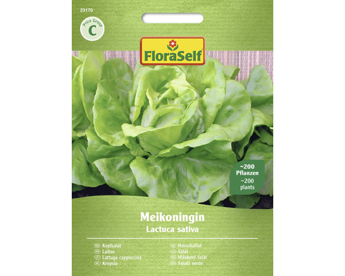 Semințe de salată verde Meikoningin FloraSelf