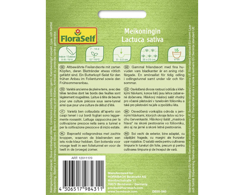 Pachet de semințe de salată creață Meikoningin