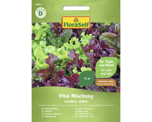 Semințe de salată verde Baby Leaf VitalFloraSelf