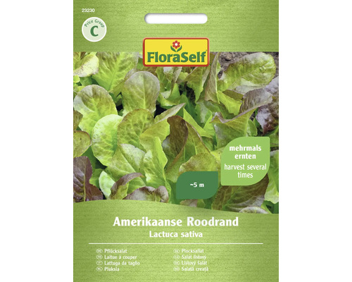 Semințe de salată Amerikaanse Roodrand FloraSelf