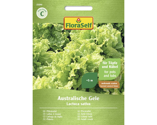 Semințe de salată Australiche Gele FloraSelf