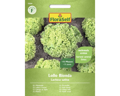 Semințe de salată Lollo Bionda FloraSelf