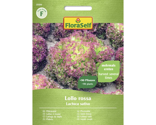 Semințe de salată Lollo Rossa FloraSelf